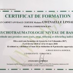 Certificat psychotraumatologie Pontivy